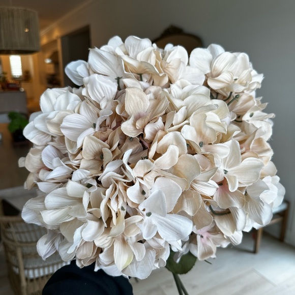 Ashland Other - Hydrangeas faux flowers floral tan beige nude 24” long stems X 6
